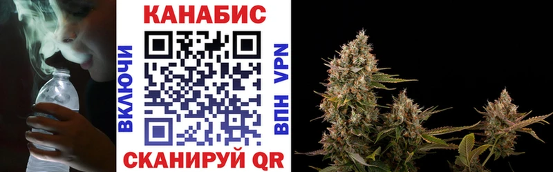 ТГК Димитровград