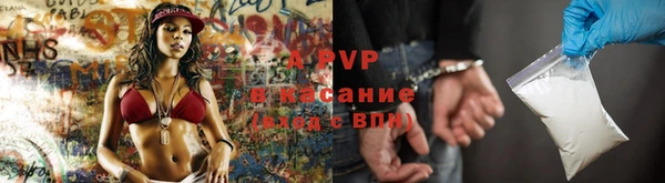 гидра Костерёво