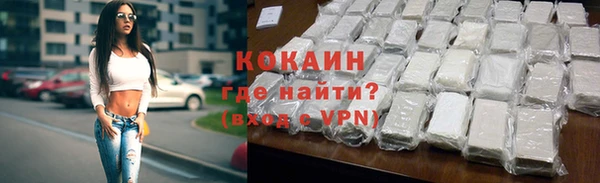 ешки Алексин