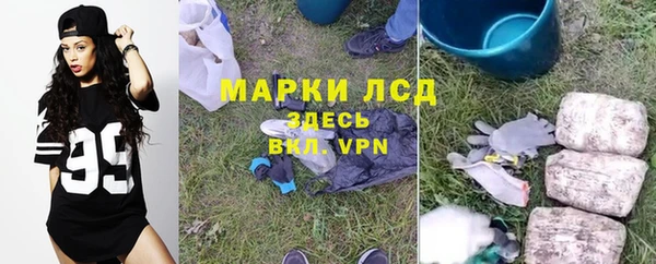 ешки Алексин