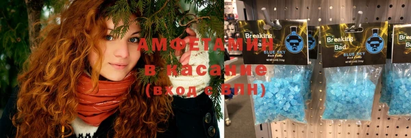 ешки Алексин