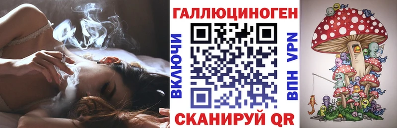как найти наркотики Димитровград mega зеркало Галлюциногенные грибы Psilocybine cubensis