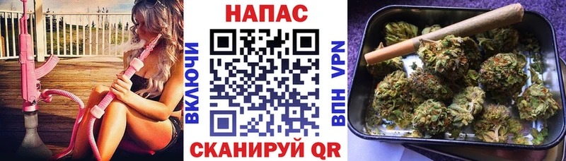 Марихуана конопля цены Димитровград